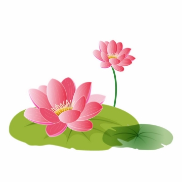 盛开的荷花莲花和荷叶莲叶手绘插画5754245AI矢量图片免抠素材