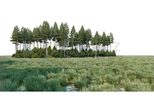 大草原上的一片树林灌木丛自然景观3100019PSD免抠图片素材