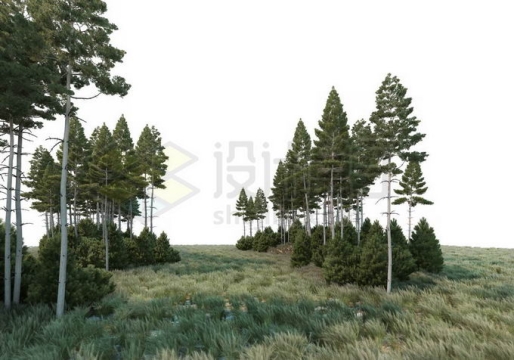 大草原上分散的一些树林和灌木丛自然景观4943634PSD免抠图片素材