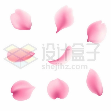 6片飘舞的粉红色桃花花瓣3610459矢量图片免抠素材