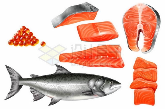 鱼子酱和三文鱼肉美味美食5205664矢量图片免抠素材