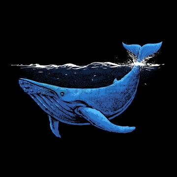 水面下的鲸鱼艺术插画png图片免抠矢量素材