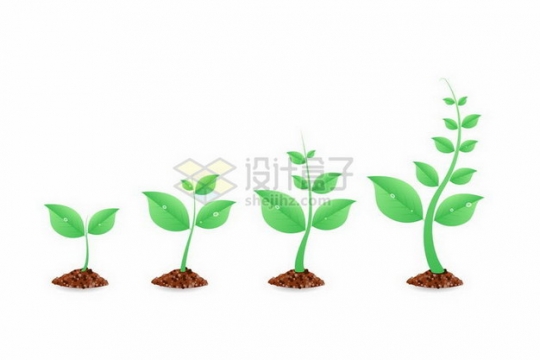 翠绿色的植物发芽的四个阶段植树节png图片免抠矢量素材