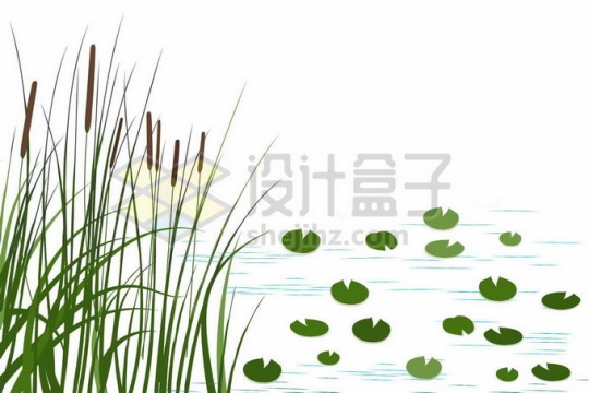 香蒲半水生草本植物草丛和水中的浮萍3725846矢量图片免抠素材