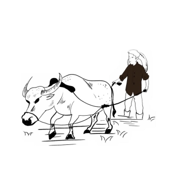 农民驾驭耕牛正在耕田种田手绘插画风格4998205免抠图片素材
