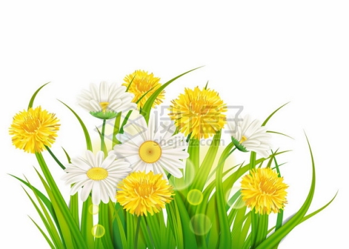 各种黄色白色花朵和草丛5876579矢量图片免抠素材