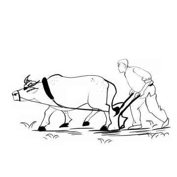 农民驾驭耕牛正在耕田犁地手绘插画风格5808671免抠图片素材