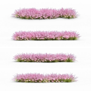 四款3D渲染的粉黛乱子草草丛绿植观赏植物6261646png图片免抠素材