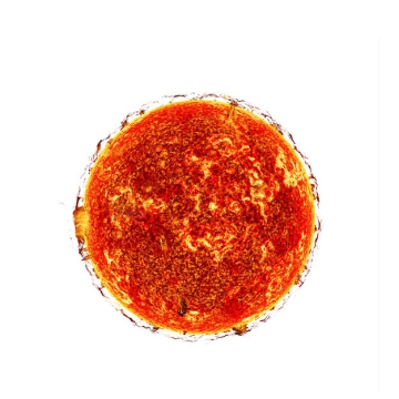 红色的恒星太阳红矮星6263829PSD免抠图片素材