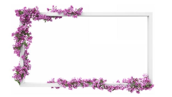 3D立体白色方框和缠绕在上面的紫色花卉6700450免抠图片素材