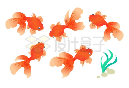 各种卡通红金鱼和金鱼藻9257398矢量图片免抠素材