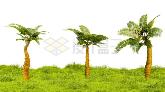翠绿色的青草地草原草坪上的热带大树1706072PSD免抠图片素材