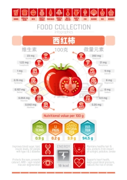 西红柿番茄所含维生素和微量元素营养成分示意图9781826矢量图片免抠素材
