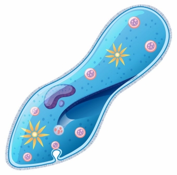 一只蓝色的草履虫单细胞原生动物微生物4854561矢量图片免抠素材免费下载