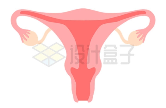 扁平化风格女性子宫解剖图4802523矢量图片免抠素材