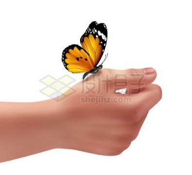 一只彩色蝴蝶停留在手上人与自然的和谐7616241矢量图片免抠素材