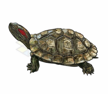 一只巴西红耳龟巴西龟乌龟爬行动物3281109矢量图片免抠素材免费下载