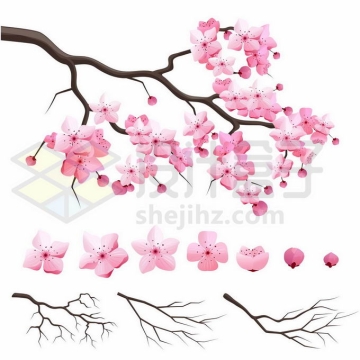 枝头上盛开的粉色桃花和花瓣枝条4772620矢量图片免抠素材