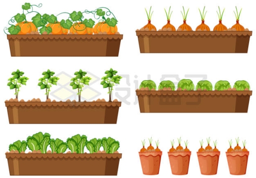 6款花圃中的蔬菜种菜9196216矢量图片免抠素材