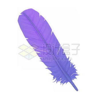 一片紫色的羽毛4528013矢量图片免抠素材