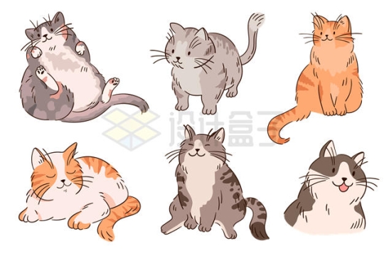 6款手绘风格可爱的卡通肥猫小猫咪插画5786709矢量图片免抠素材