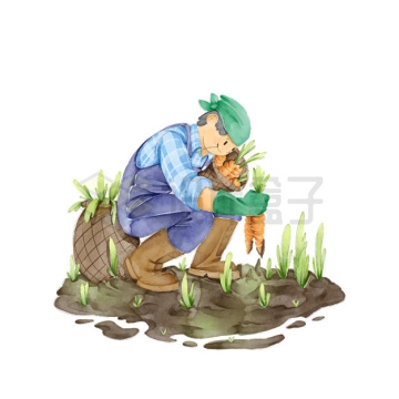 卡通农民正在拔胡萝卜种菜水彩画4927875矢量图片免抠素材