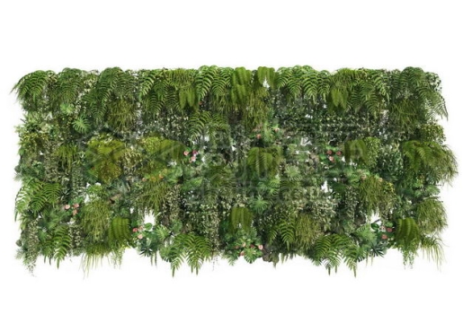茂盛的热带树叶蕨类植物叶子组成的植物墙装饰5429721图片免抠素材