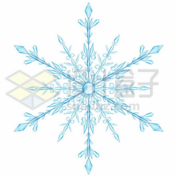 一个蓝色的雪花冰晶复杂图案8808878矢量图片免抠素材免费下载
