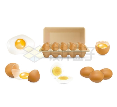 一盒鸡蛋和打碎的鸡蛋煮鸡蛋等5401176矢量图片免抠素材