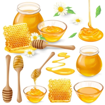 各种各样逼真的蜂蜜玻璃罐玻璃碗蜂蜜棒蜂巢蜜等免抠矢量图片素材