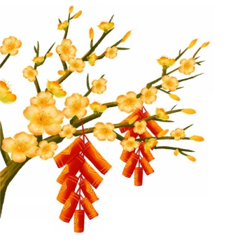 枝头上盛开的黄色梅花和红色鞭炮手绘插画5705216图片免抠素材