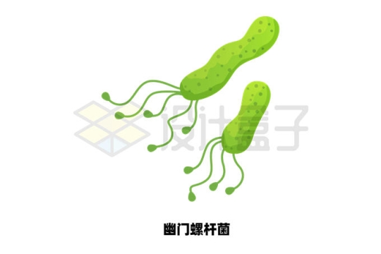 幽门螺杆菌有害微生物细菌4509175矢量图片免抠素材