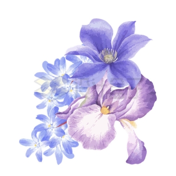 盛开的紫色花朵白芨蝴蝶兰水彩画插画1623925矢量图片免抠素材