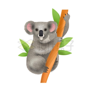 考拉树袋熊澳大利亚有袋类动物9516502矢量图片免抠素材