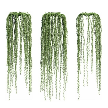 三款3D渲染的很长的翡翠珠吊兰绿植观赏植物486643免抠图片素材