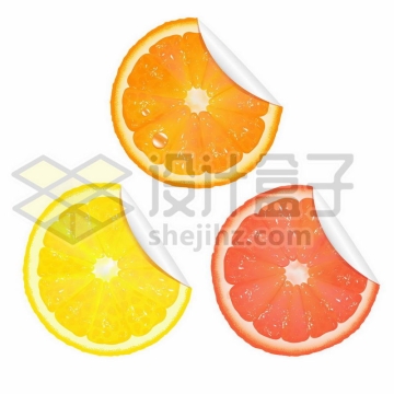 3款橙子橘子横切面贴纸9735814矢量图片免抠素材
