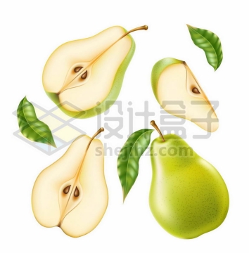 切开的梨子美味水果1506522矢量图片免费下载
