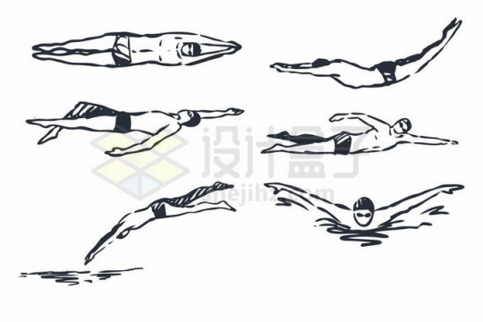 跳水自由泳仰泳蛙泳等游泳运动员手绘线条插画3325694矢量图片免抠素材免费下载