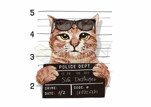 你被逮捕了拍照取证的猫咪插画8375531矢量图片免抠素材免费下载