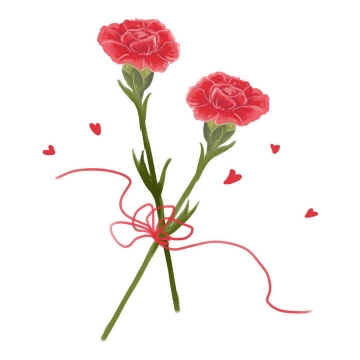 两支红色的康乃馨母亲节花卉花朵图片免抠素材