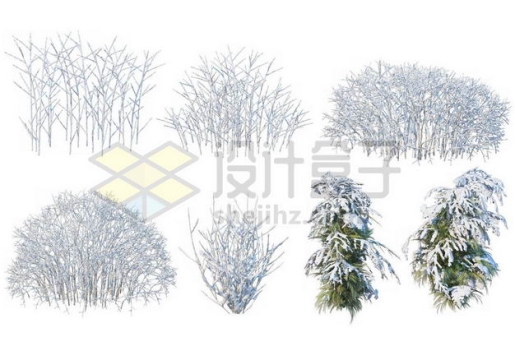 七款冬天积雪的大树雪松等冬季雪景9245261图片免抠素材