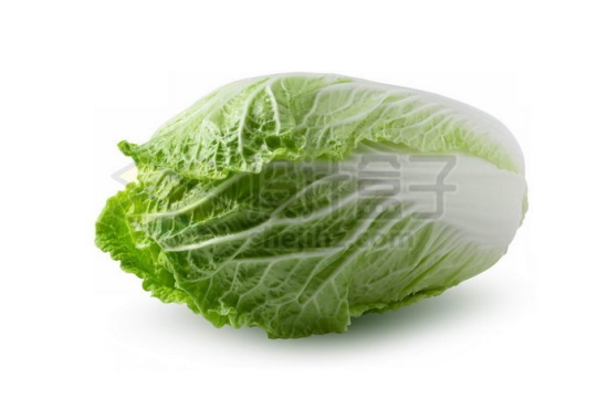 一颗大白菜黄芽菜包菜美味蔬菜8931096免抠图片素材