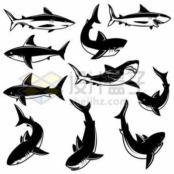 各种姿势的黑色漫画风格鲨鱼大白鲨凶猛海洋霸主1882626矢量图片免抠素材