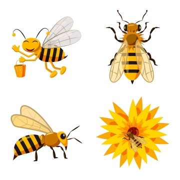 四款卡通风格采蜜的小蜜蜂免抠矢量图片素材