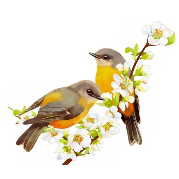 桃花枝上的两只黄鹂鸟插画3636535PSD图片免抠素材