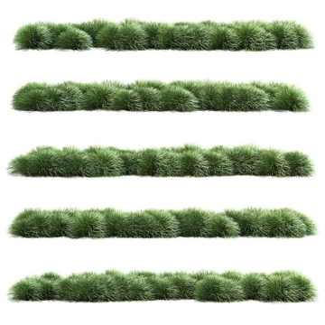 五款茅草野草组成的草丛园林绿植装饰3814945免抠图片素材