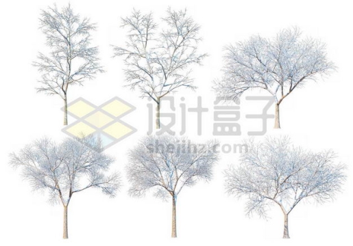 六款冬天积雪的大树等冬季雪景3079739图片免抠素材