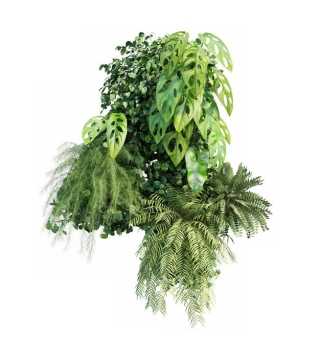 各种热带植物的绿叶组成的装饰5023555免抠图片素材