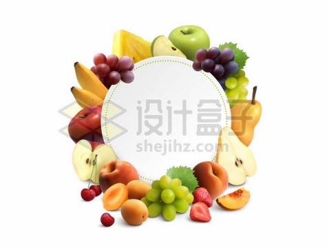 各种水果组成的圆形标题框文本框信息框9259408矢量图片免抠素材