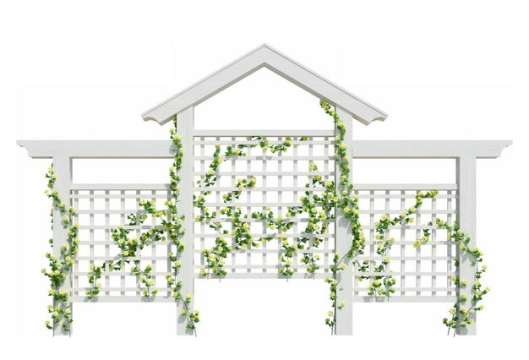白色花园廊架花架上的绿色藤蔓绿植9164366免抠图片素材
